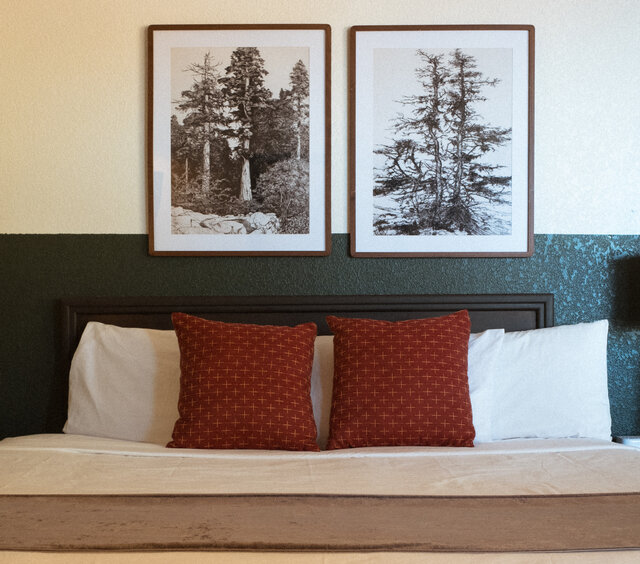 Image 1 for #06 Single Queen (no pets)