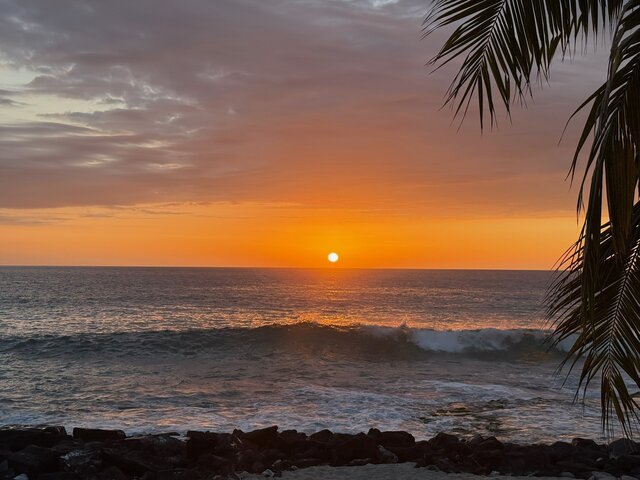 Image 21 for Hale Seafarer