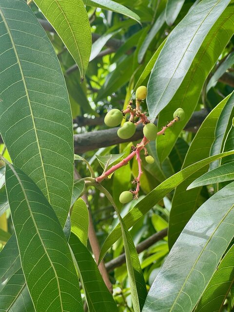 Image 24 for Hale Seafarer