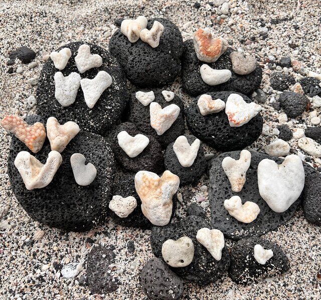 Image 12 for Hale Seafarer