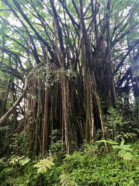 Image 6 for Hale Seafarer