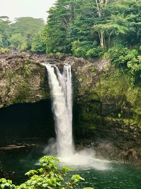 Image 4 for Hale Seafarer