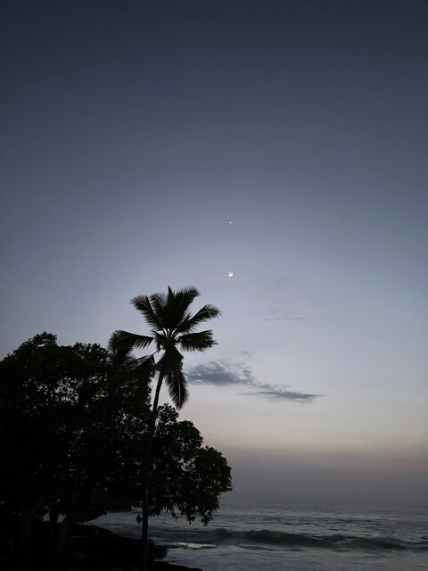 Image 19 for Hale Seafarer