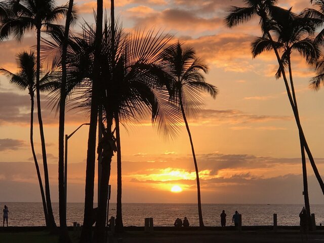 Image 5 for Hale Seafarer