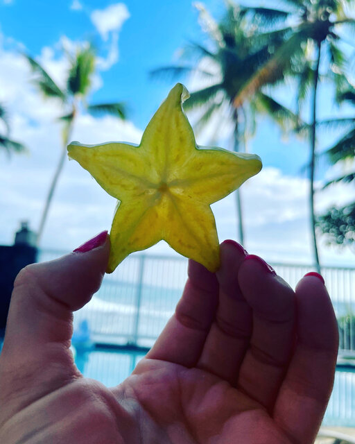 Image 9 for Hale Seafarer