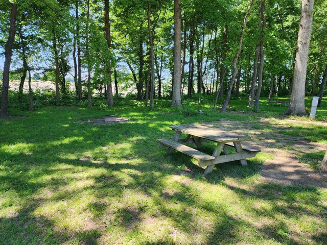 Image 2 for RV/Tent Combo Site