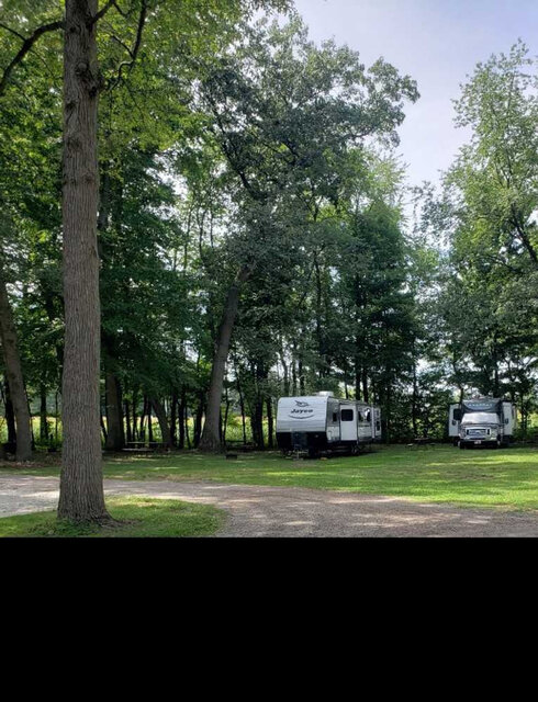 Image 4 for Grass Back-In