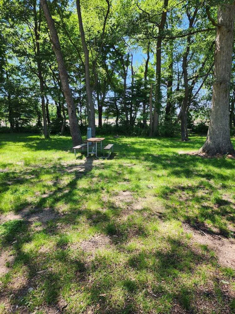 Image 2 for Grass Back-In