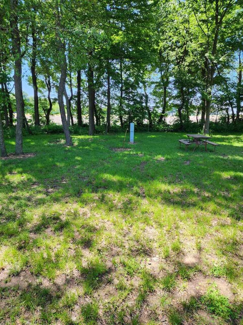 Image 1 for Grass Back-In