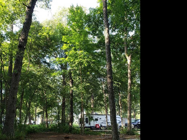 Image 4 for RV/Tent Combo Site