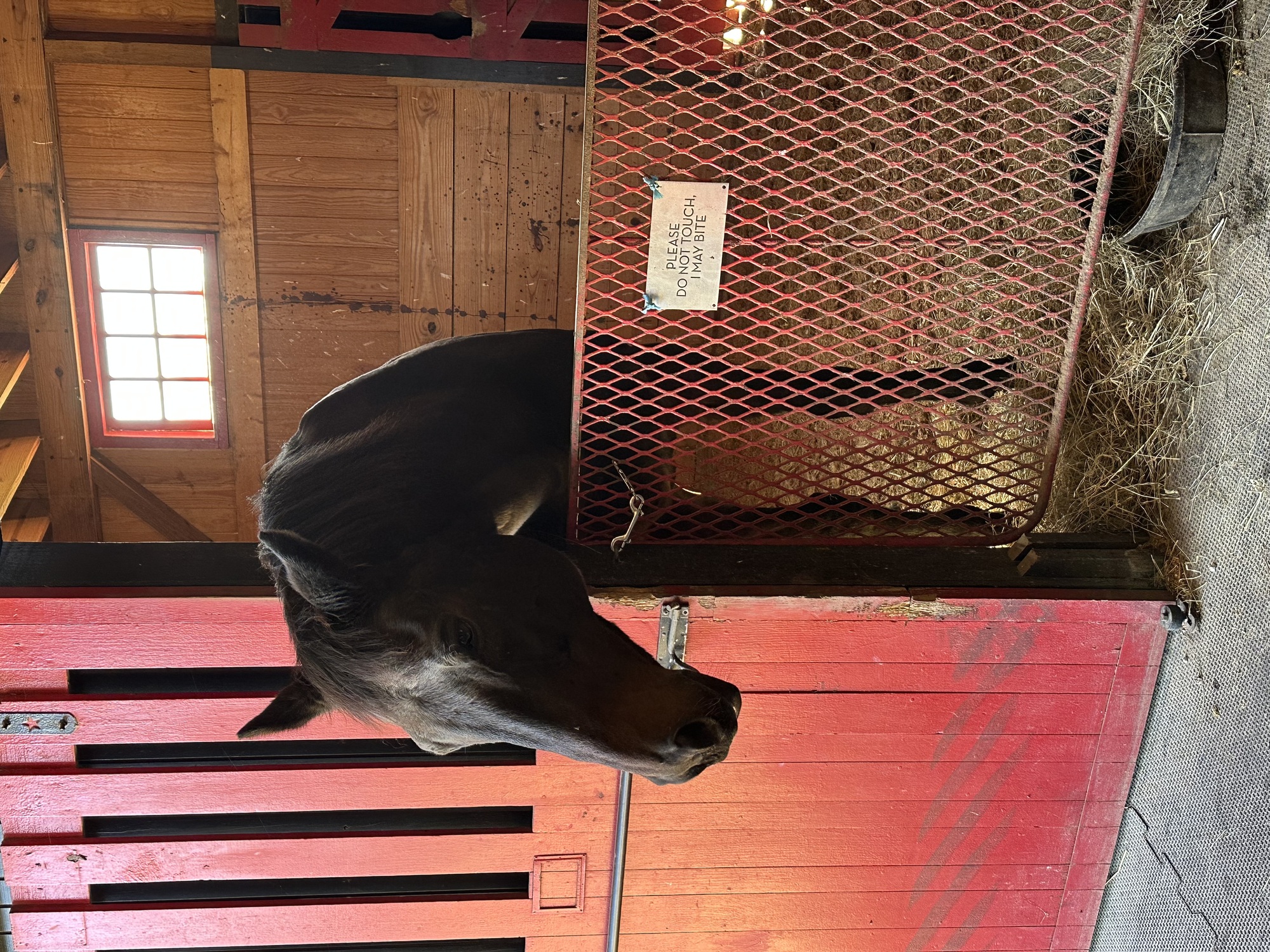 Image for Horse Farm Experience