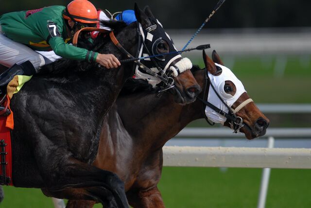 Image 3 for KENTUCKY DERBY 2026