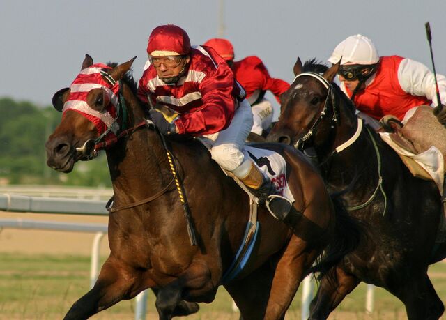 Image 2 for KENTUCKY DERBY 2026