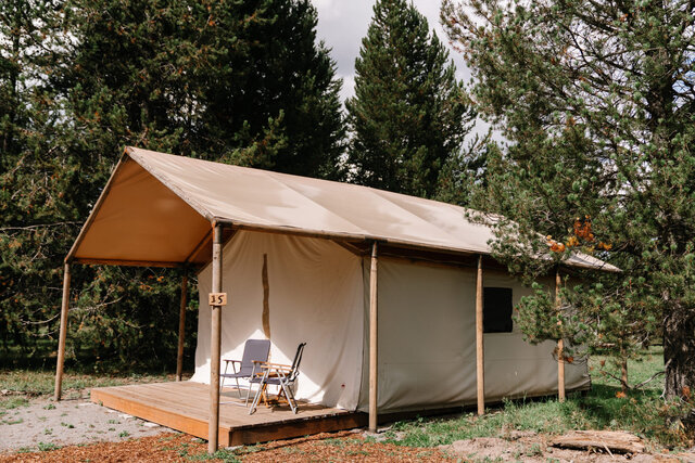 Image 1 for Family Safari Tent