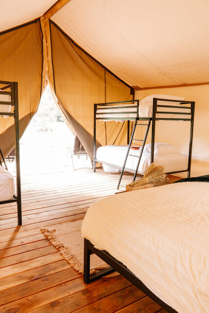 Image 5 for Family Safari Tent