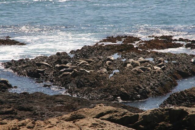Image 5 for 33 Deluxe King Room OceanFront Balcony