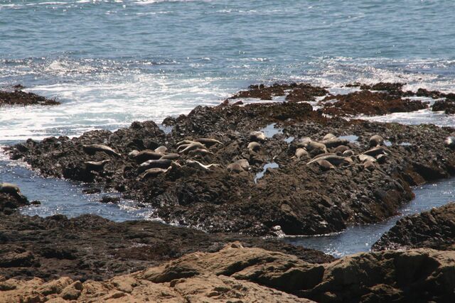 Image 8 for 01 Captains Quarters OceanFront