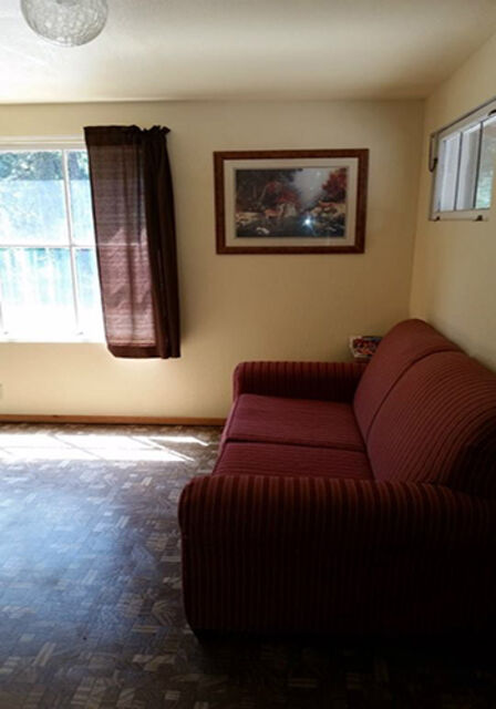 Image 2 for Whisker Lounge