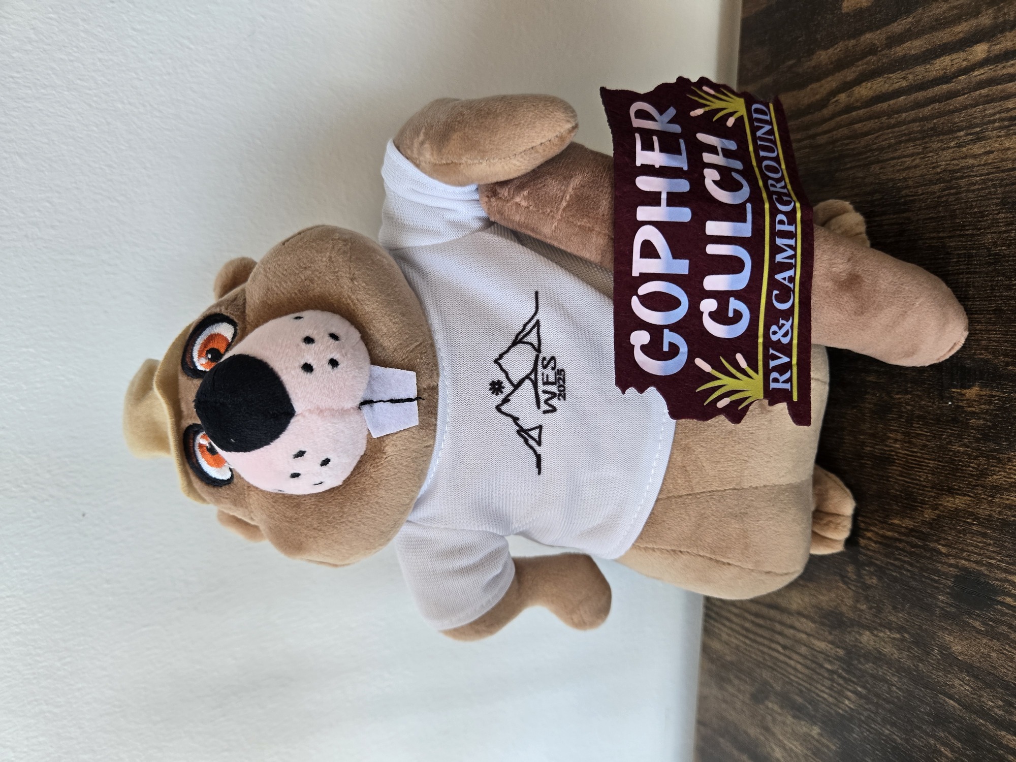 Image for Wes the Gopher
