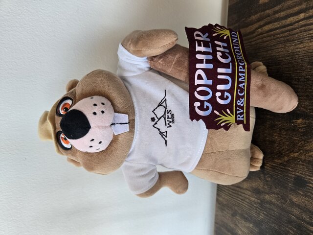 Image 1 for Wes the Gopher