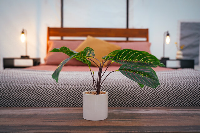 Image 8 for Lux Canvas 1