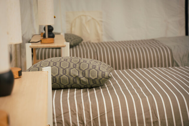 Image 3 for Lux Canvas 3