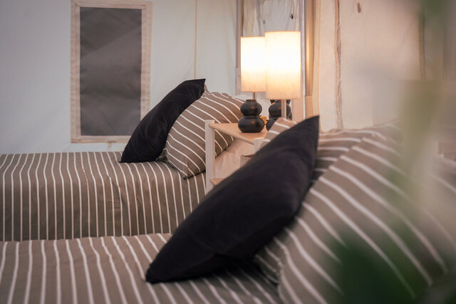 Image 7 for Lux Canvas 2