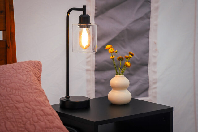 Image 7 for Lux Canvas 1