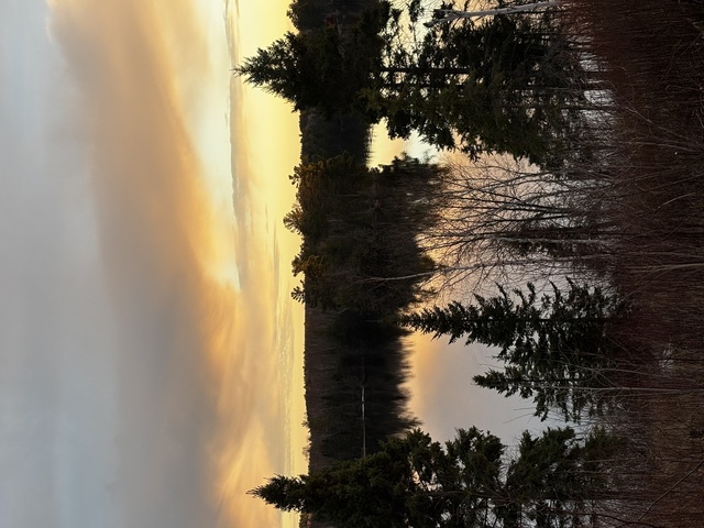 Image 6 for Cabin 7