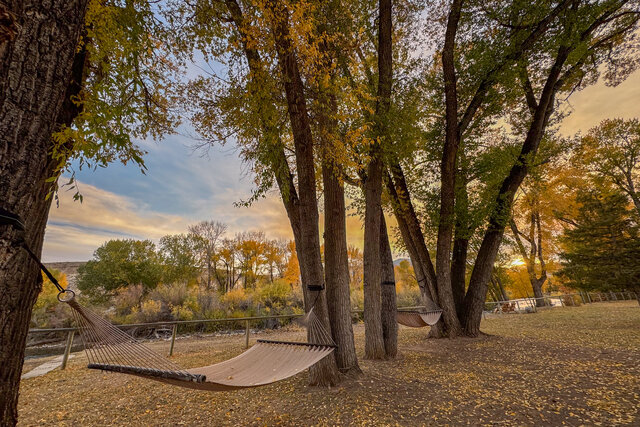 Image 25 for Combo Cabin (WRH & Pony)