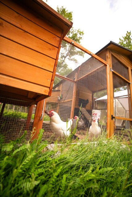 Image 21 for King Suite (Kitchen)