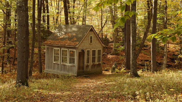 Image 5 for The Brook Cottage