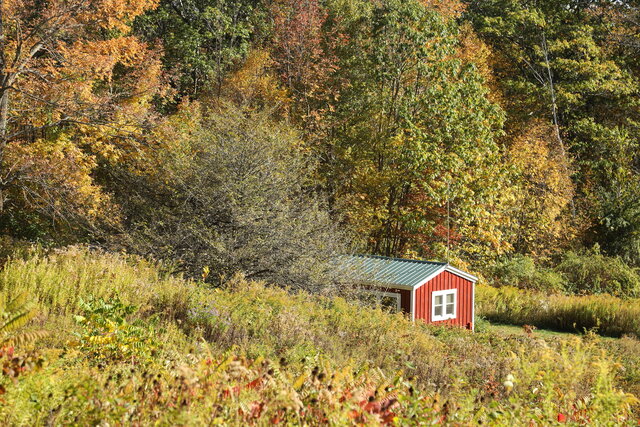 Image 4 for The Honey Bee Cottage (seasonal)