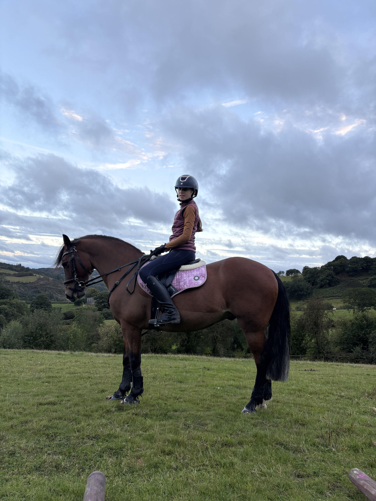 Image for Bring your Horse