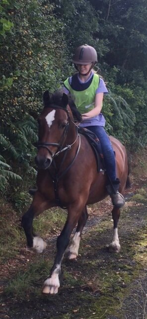 Image 4 for Bring your Horse