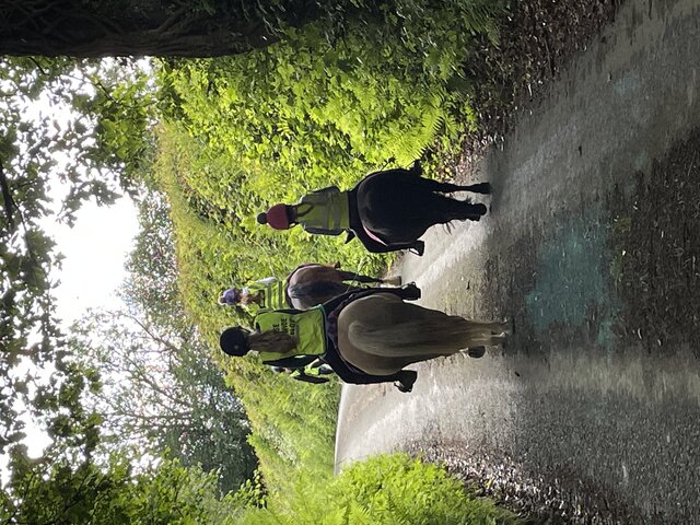 Image 2 for Bring your Horse