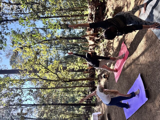 Imagen 1 de Yoga
