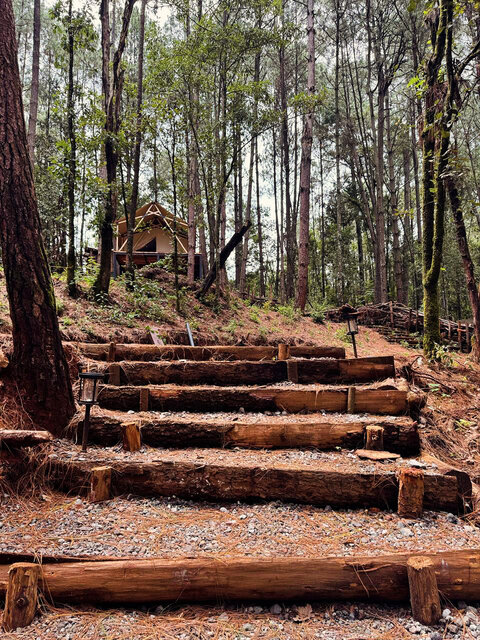 Imagen 3 de Lattitude Glamp