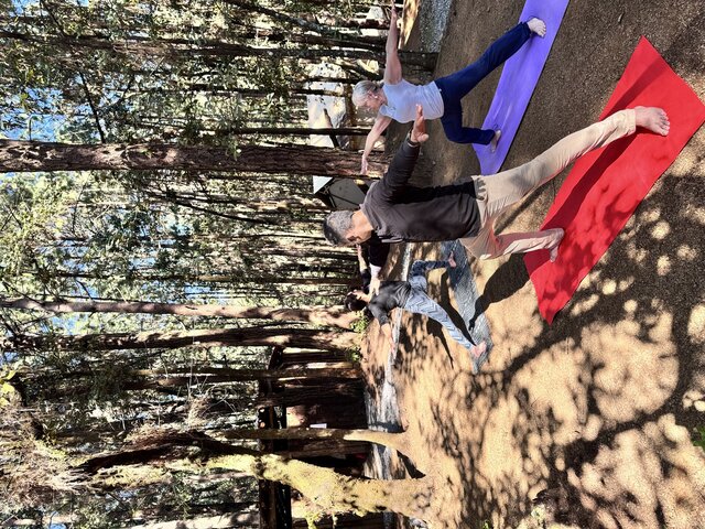 Imagen 2 de Yoga
