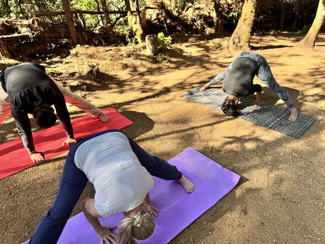 Imagen 3 de Yoga