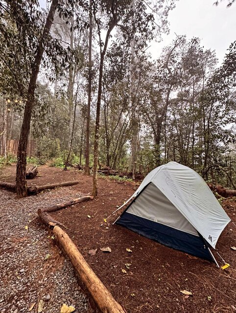 Imagen 1 de Camping spot