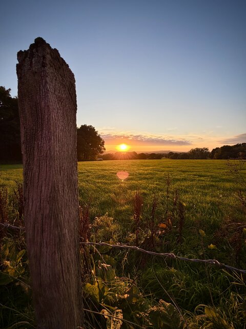 “A solitary log standing upright in a vast, open field at The Secret Garden Glamping, surrounded by vibrant green grass. The warm glow of the sunset stretches across the horizon sky.