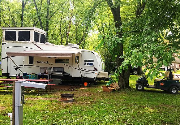 Image for SS 229) Site 229S