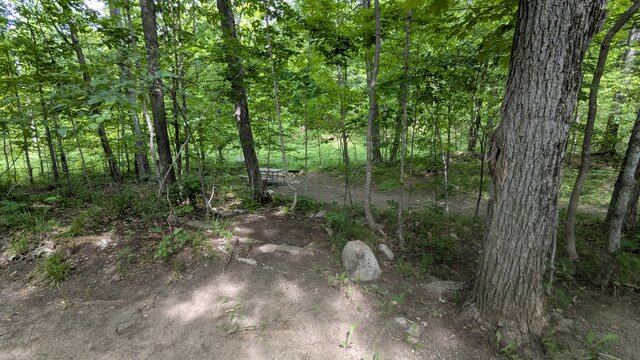 Image 1 for 71) Spacious Forest Tent Site