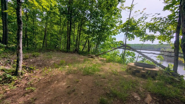 Image 1 for 77) Shaded Forest Tent Site with Lake Glimpses View