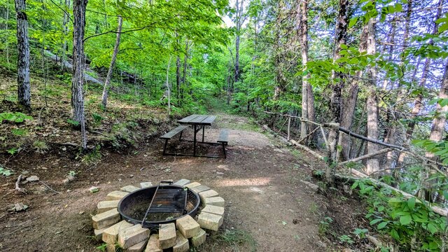 Image 2 for 75) Shaded Forest Tent Site with Lake Glimpses