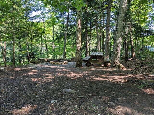 Image 1 for 95) Shaded Forest Tent Site with Lake Glimpses