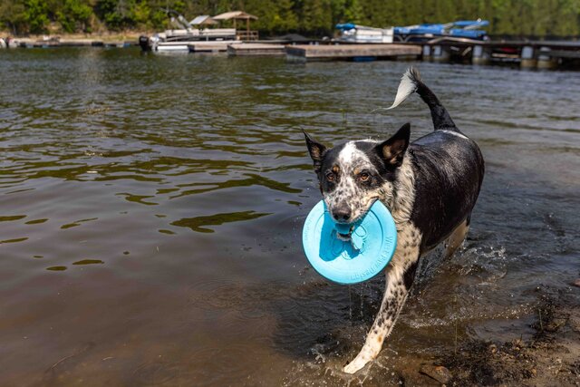 Image 23 for 003) Lakefront Lofty | Steps from beach | Kayaking