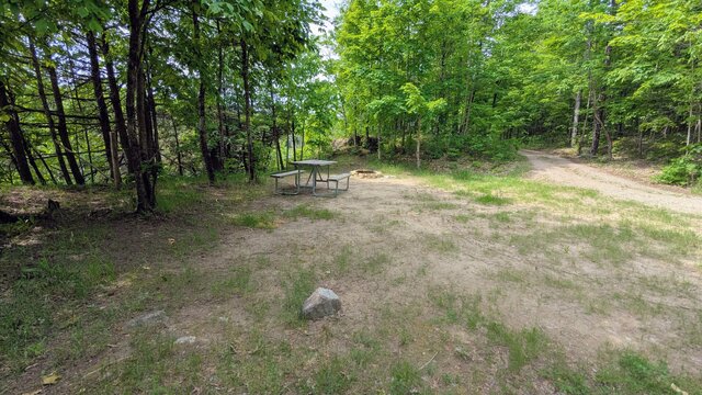 Image 4 for 76) Shaded Forest Tent Site with Lake Glimpses
