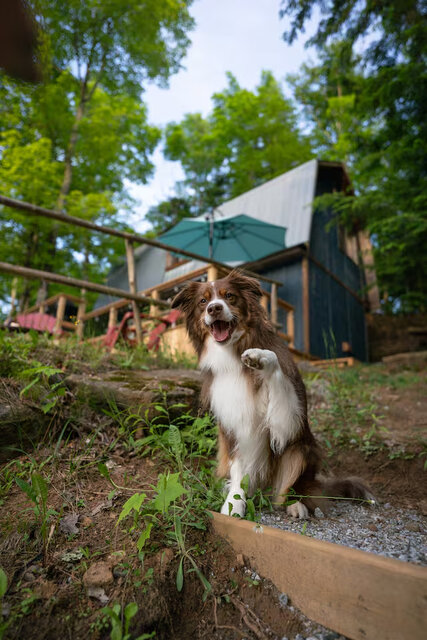 Image 13 for 004) Lakefront Blue Peninsula | Kayaking | Views